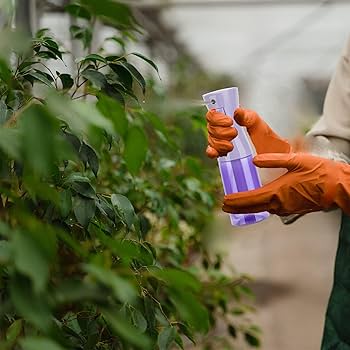 シャンプー Amatora mezzo forte hair-bath シャンプー Amatora mezzo forte hair-bath アマトラ